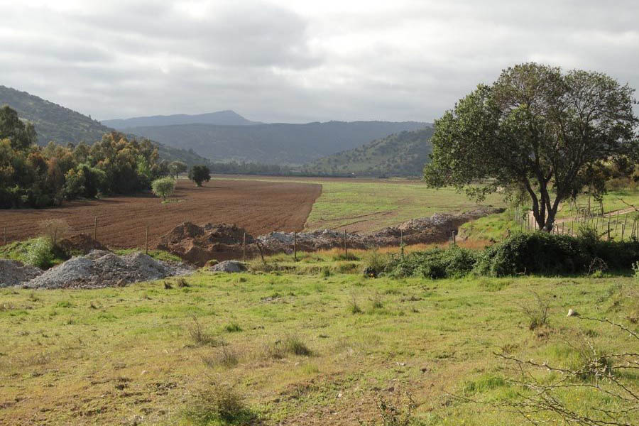 LOS BOLDOS DE LITÚ